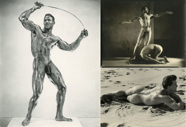 The Physique Project 